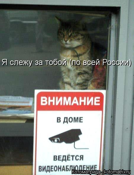 Котоматрица: Я слежу за тобой (по всей России)