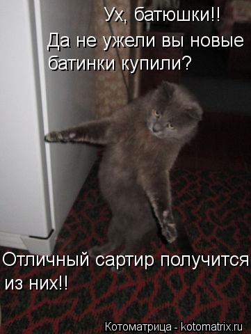 Котоматрица: Ух, батюшки!! Да не ужели вы новые батинки купили? Отличный сартир получится!! из них!!