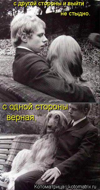 Котоматрица: с одной стороны  верная,  с другой стороны и выйти не стыдно.