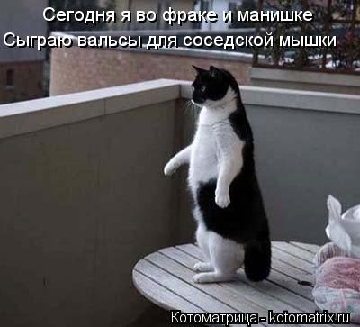 Котоматрица: Сегодня я во фраке и манишке Сыграю вальсы для соседской мышки