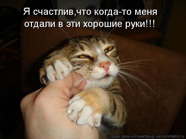 Я счастлив,что когда-то меня отдали в эти хорошие руки!!!... Котоматрица: Я счастлив,что когда-то меня отдали в эти хорошие руки!!!