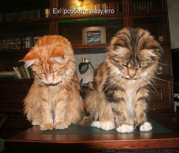 Котоматрица: Ех! розбили вазу,ето нечего СКЛЕИМ
