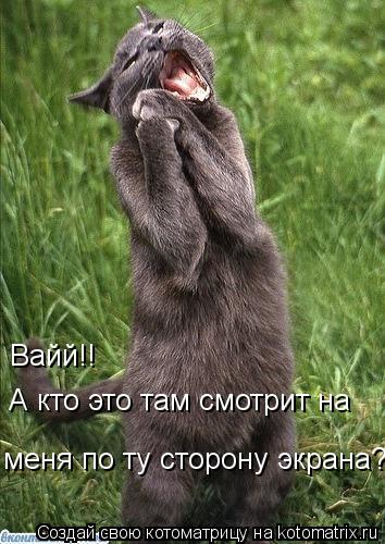 Котоматрица: А кто это там смотрит на   меня по ту сторону экрана? Вайй!!