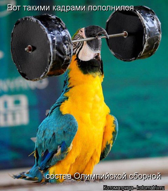 Вот такими кадрами пополнился состав Олимпийской сборной... Котоматрица: Вот такими кадрами пополнился состав Олимпийской сборной