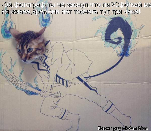 Котоматрица: -Эй,фотограф,ты чё,заснул,что ли?Сфоткай ме- ня живее,времени нет торчать тут три часа!