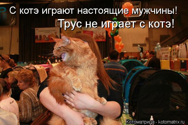 Котоматрица: С котэ играют настоящие мужчины!  Трус не играет с котэ!