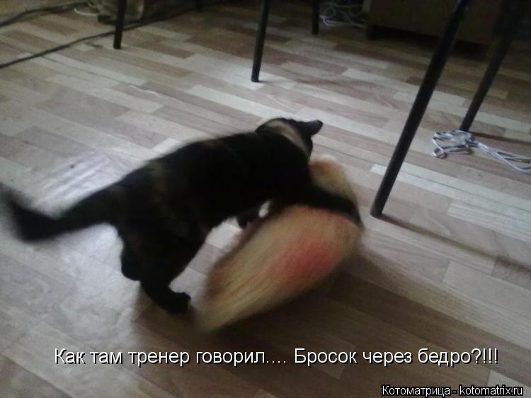 Котоматрица: Как там тренер говорил.... Бросок через бедро?!!!