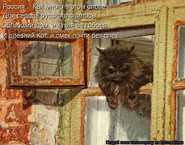 Котоматрица: Россия... Как много в этом слове Для сердца русского слилось! Облезший дом, и кухня без обоев, И древний Кот, и смех почти без слез...
