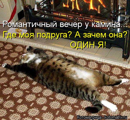 Котоматрица: Романтичный вечер у камина... Где моя подруга? А зачем она? ОДИН Я!