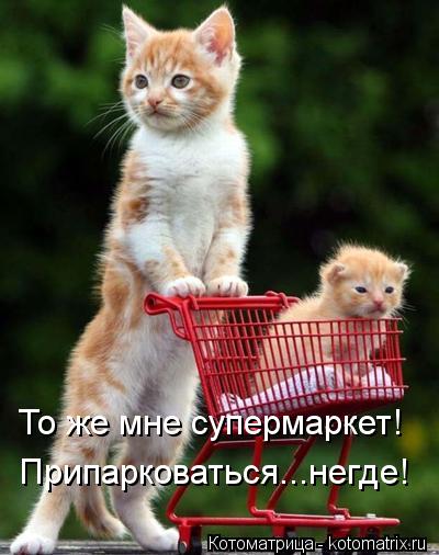 Котоматрица: То же мне супермаркет! Припарковаться...негде!