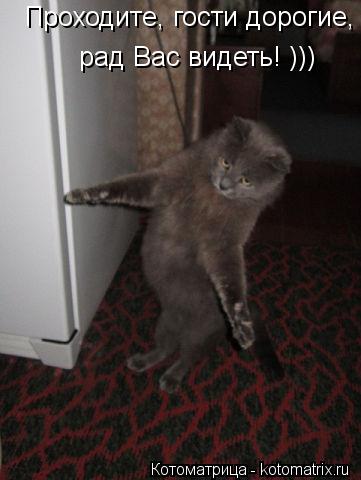 Котоматрица: Проходите, гости дорогие, рад Вас видеть! )))