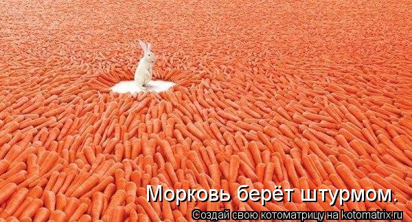 Котоматрица: Морковь берёт штурмом.