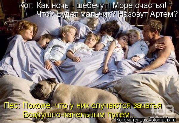 Котоматрица: Что? Будет мальчик? Назовут Артем? Пес: Похоже, что у них случаются зачатья Воздушно-капельным путем... Кот: Как ночь - щебечут! Море счастья!