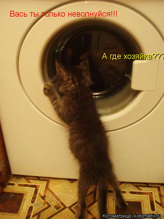 Котоматрица: Вась ты только неволнуйся!!! А где хозяйка???