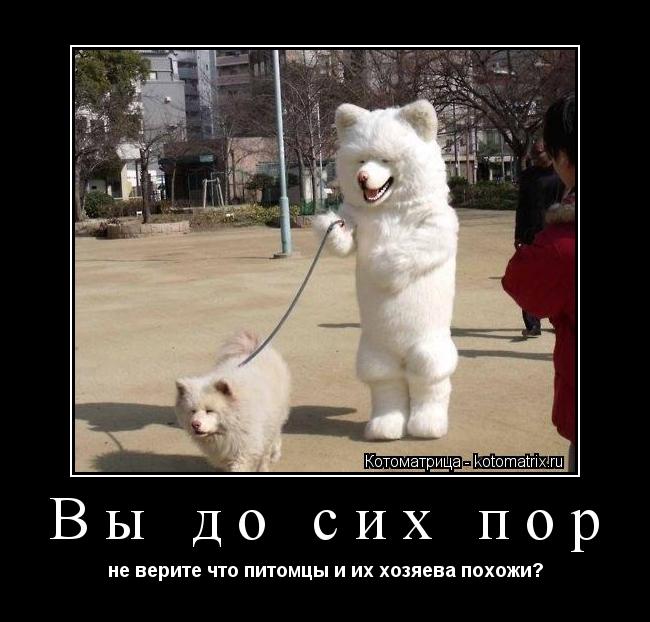 Котоматрица:  Вы до сих пор не верите что питомцы и их хозяева похожи?