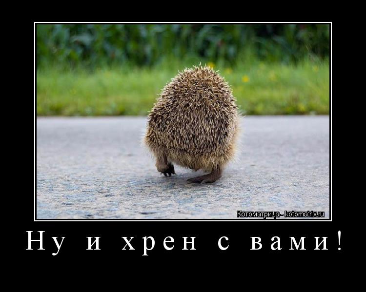 Котоматрица: Ну и хрен с вами! 