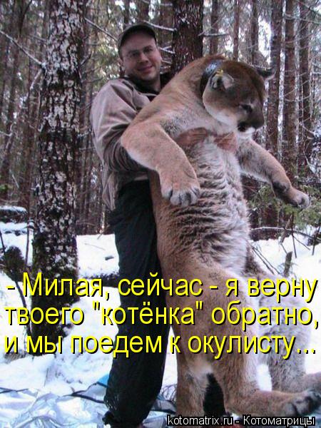 Котоматрица: - Милая, сейчас - я верну  твоего "котёнка" обратно,  и мы поедем к окулисту...