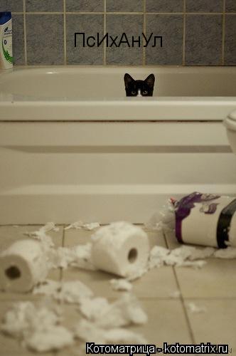 Котоматрица: ПсИхАнУл