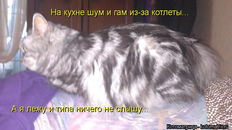 Котоматрица: На кухне шум и гам из-за котлеты... А я лежу и типа ничего не слышу...