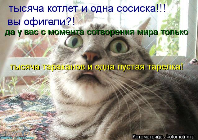 Котоматрица: тысяча котлет и одна сосиска!!! вы офигели?! да у вас с момента сотворения мира только тысяча тараканов и одна пустая тарелка!