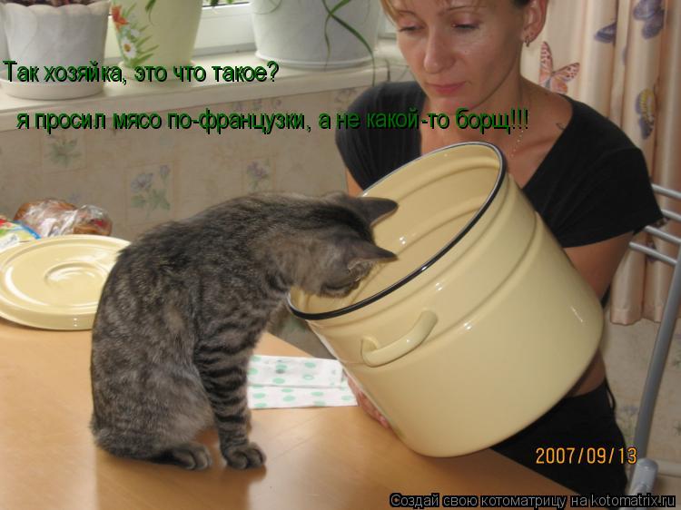 Котоматрица: Так хозяйка, это что такое?                                                                                       я просил мясо по-французки, а не какой-то борщ!!!  я просил мясо по-ф