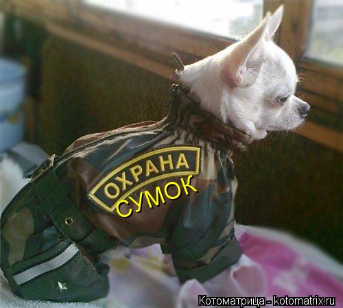 Котоматрица: СУМОК