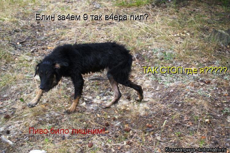 Котоматрица: Блин за4ем 9 так в4ера пил? Блин за4ем 9 так в4ера пил? ТАК СТОП где я????? Пиво било лишним!