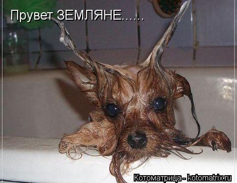 Котоматрица: Прувет ЗЕМЛЯНЕ......