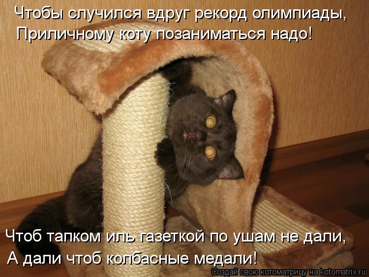 Чтобы случился вдруг рекорд олимпиады, Приличному коту позаниматься надо! Чтоб тапком иль газетко... Котоматрица: Чтобы случился вдруг рекорд олимпиады, Приличному коту позаниматься надо! Чтоб тапком иль газеткой по ушам не дали, А дали чтоб колбасные