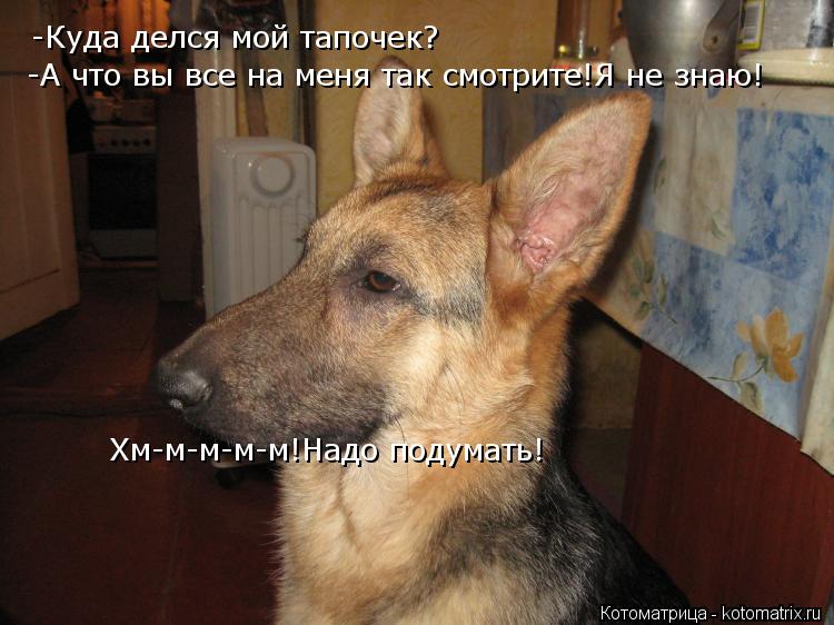 Котоматрица: -Куда делся мой тапочек? -А что вы все на меня так смотрите!Я не знаю! Хм-м-м-м-м!Надо подумать!