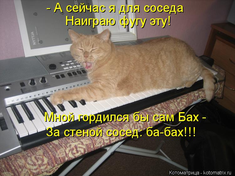 Котоматрица: - А сейчас я для соседа Наиграю фугу эту! Мной гордился бы сам Бах -  За стеной сосед: ба-бах!!!