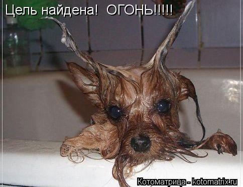 Котоматрица: Цель найдена!  ОГОНЬ!!!!!