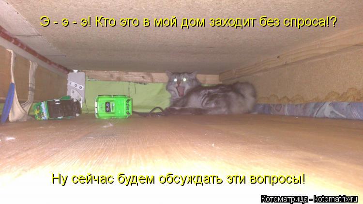 Котоматрица: Э - э - э! Кто это в мой дом заходит без спроса!? Ну сейчас будем обсуждать эти вопросы!