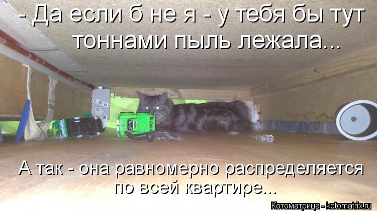 Котоматрица: - Да если б не я - у тебя бы тут тоннами пыль лежала... А так - она равномерно распределяется по всей квартире...