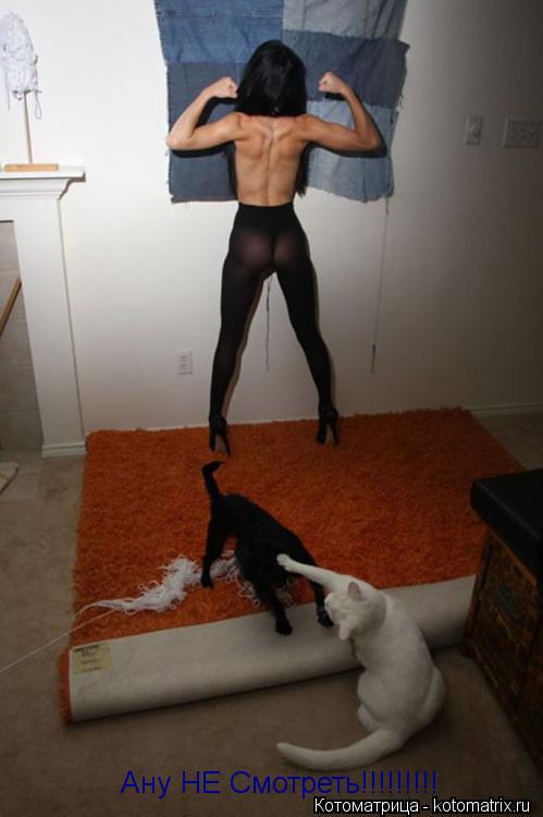 Котоматрица: Ану НЕ Смотреть!!!!!!!!!