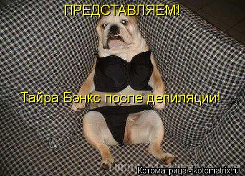 Котоматрица: ПРЕДСТАВЛЯЕМ! Тайра Бэнкс после депиляции!