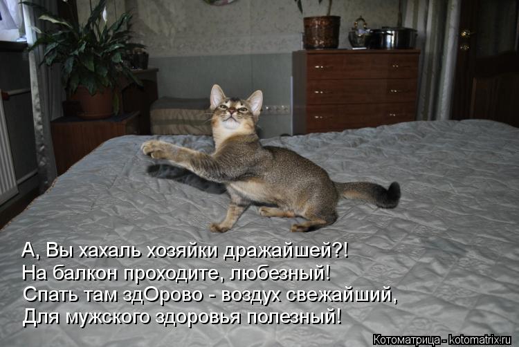 А, Вы хахаль хозяйки дражайшей?! На балкон проходите, любезный! Спать там здОрово - воздух свежайший,... Котоматрица: А, Вы хахаль хозяйки дражайшей?! На балкон проходите, любезный! Спать там здОрово - воздух свежайший, Для мужского здоровья полезный!