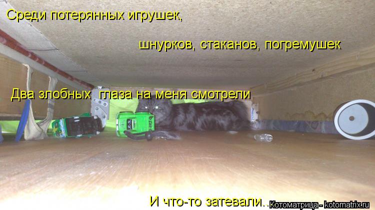 Котоматрица: Среди потерянных игрушек, шнурков, стаканов, погремушек Два злобных  глаза на меня смотрели И что-то затевали....