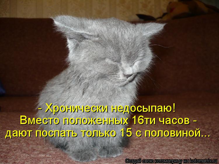 Котоматрица: - Хронически недосыпаю! Вместо положенных 16ти часов -  дают поспать только 15 с половиной...
