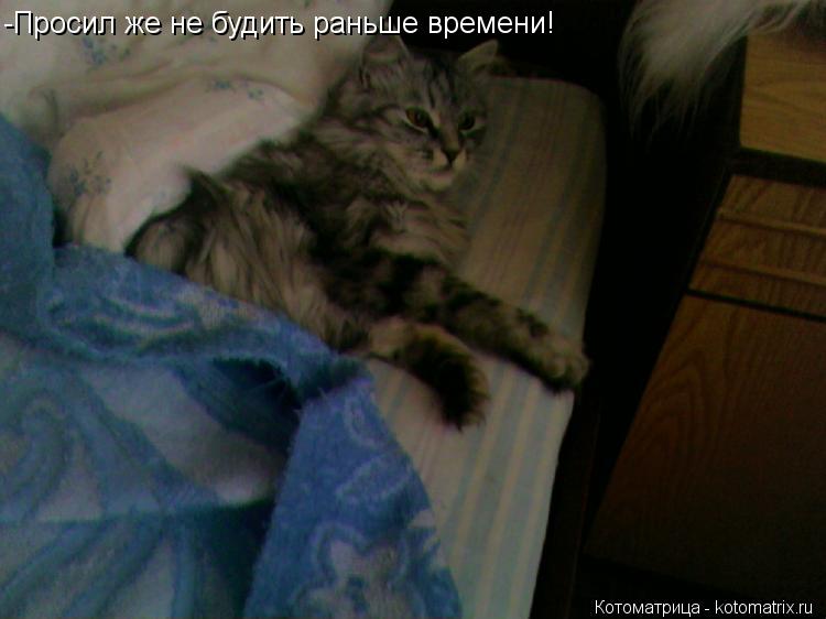 Котоматрица: -Просил же не будить раньше времени!