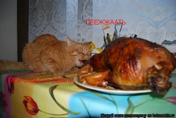 Котоматрица: ЛЕЕЖЖААТЬ Тебе слова не давали