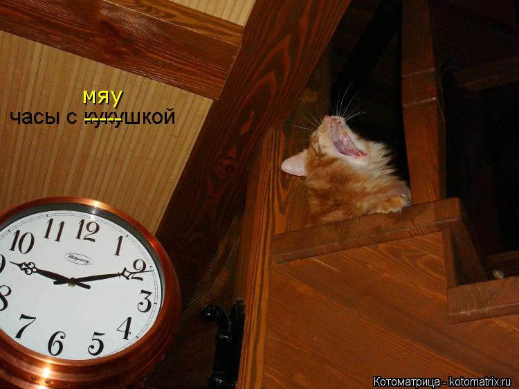 Котоматрица: часы с кукушкой ----- мяу