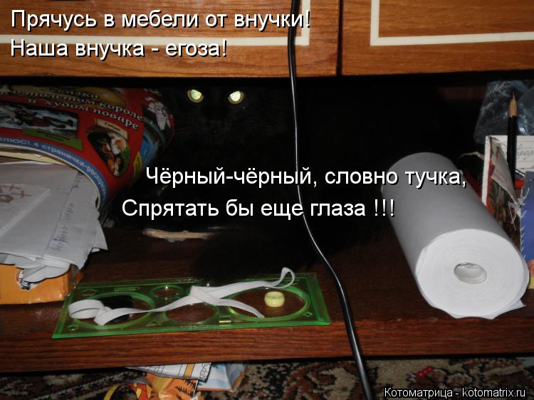 Котоматрица: Прячусь в мебели от внучки! Наша внучка - егоза! Чёрный-чёрный, словно тучка, Спрятать бы еще глаза !!!