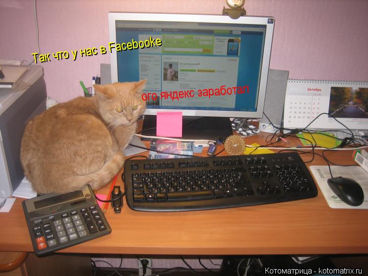 Котоматрица: Так что у нас в Facebooke ого яндекс заработал