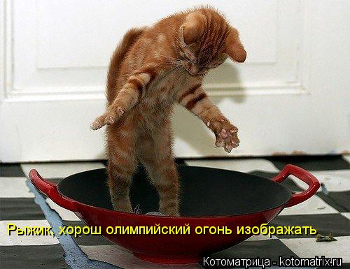 Котоматрица: Рыжик, хорош олимпийский огонь изображать