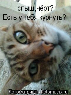 Котоматрица: слыш,чёрт? Есть у тебя курнуть?