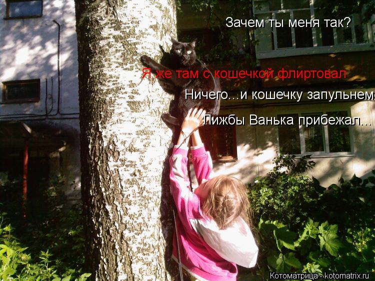 Котоматрица: Зачем ты меня так? Я же там с кошечкой флиртовал Ничего...и кошечку запульнем Лижбы Ванька прибежал...