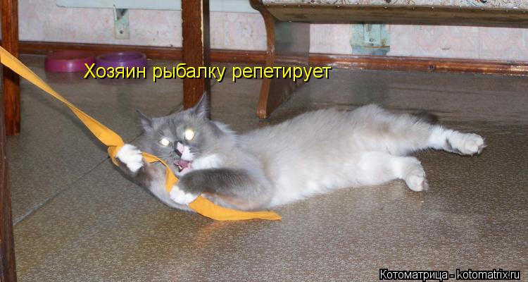 Котоматрица: Хозяин рыбалку репетирует
