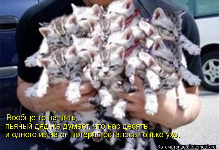 Вообще то на пять, пьяный дядька думает, что нас десять и одного из на он потерял осталось только ухо... Котоматрица: Вообще то на пять, пьяный дядька думает, что нас десять и одного из на он потерял осталось только ухо.
