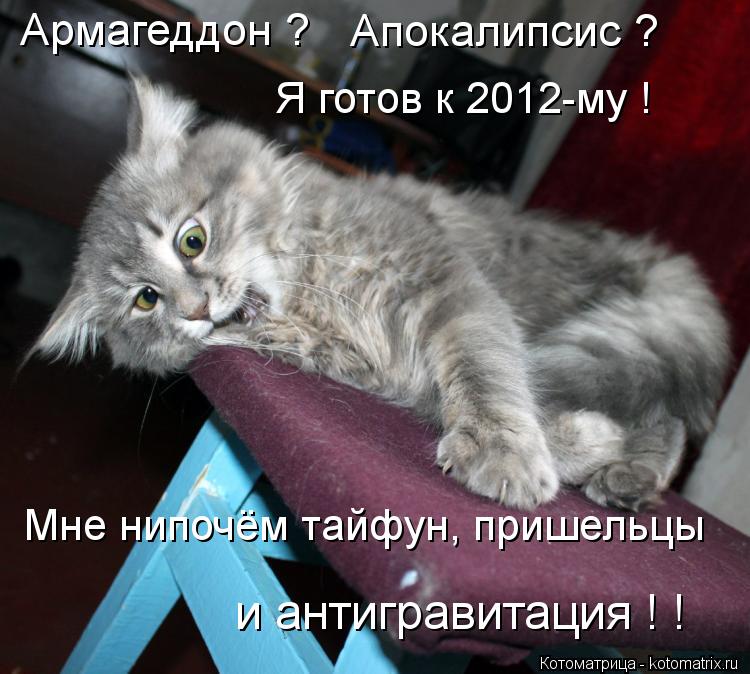 Котоматрица: Армагеддон ? Апокалипсис ? Я готов к 2012-му ! Мне нипочём тайфун, пришельцы  и антигравитация ! !